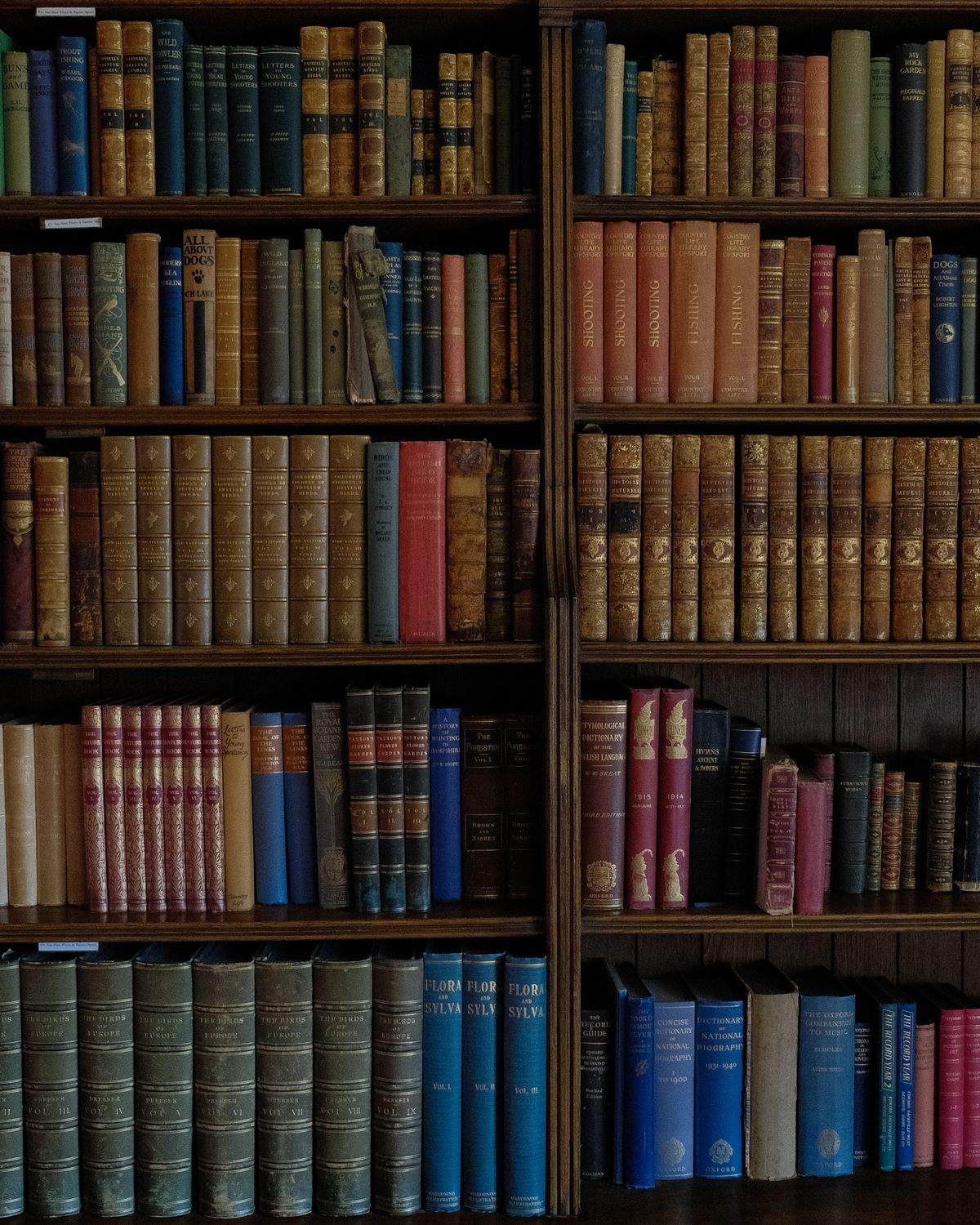 Shelves of bound reference volumes in a research library